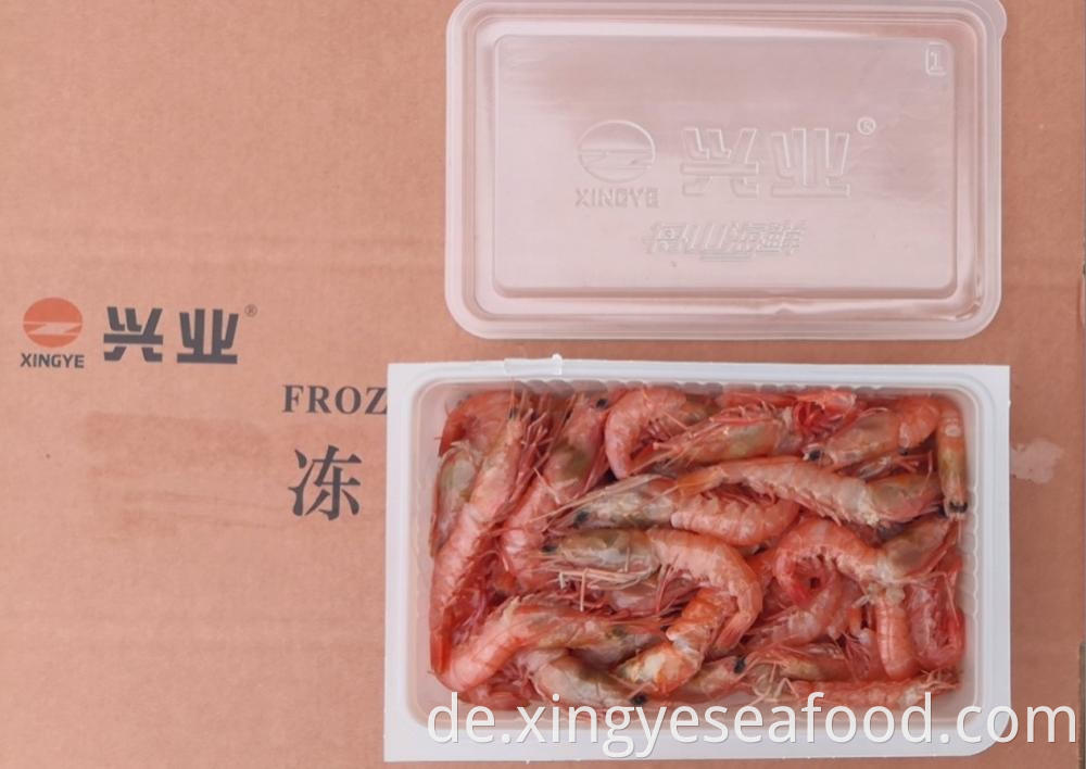 Red Deep Sea Prawn